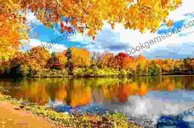 A Panoramic View Of A Tranquil Lake Surrounded By Vibrant Autumn Foliage, Reflecting The Serene Mind Of A Writer. My Wild Garden: Notes From A Writer S Eden