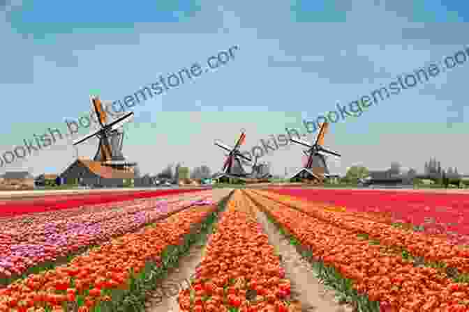 A Vibrant Display Of Tulips In Keukenhof, Attracting Millions Of Visitors Annually. Royal Gardens Of The World: 21 Celebrated Gardens From The Alhambra To Highgrove And Beyond