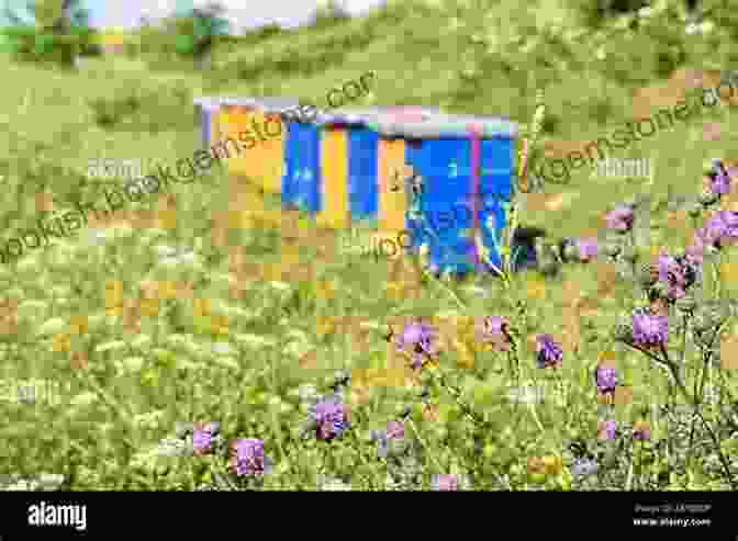 A Vibrant Wildflower Meadow At The Honey Farm On The Hill, Teeming With Diverse Wildflowers That Attract A Myriad Of Pollinators The Honey Farm On The Hill: Escape To Sunny Greece In The Perfect Feel Good Summer Read
