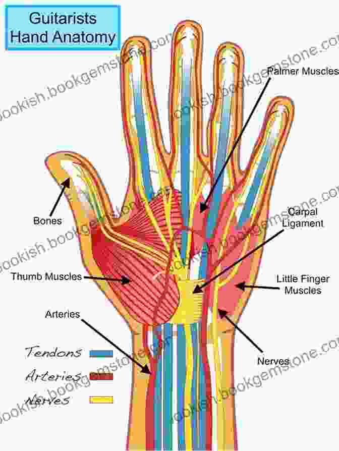 Anatomy Of The Hand Drawing Hands: With Over 1000 Illustrations (Dover Art Instruction)