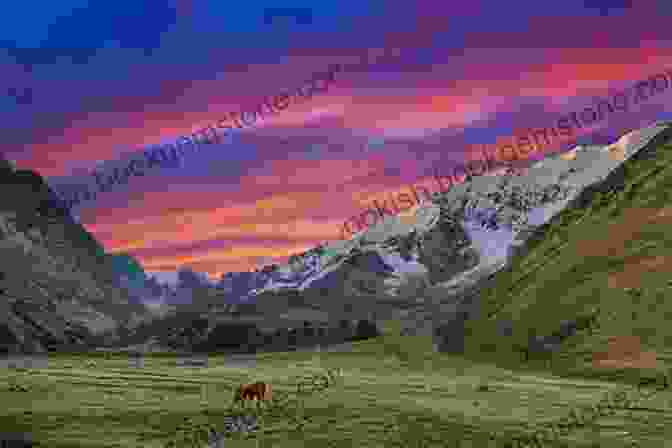 Andes Mountains Sunset Dancing With The Dog: A Journey In Latin America 1996 1998