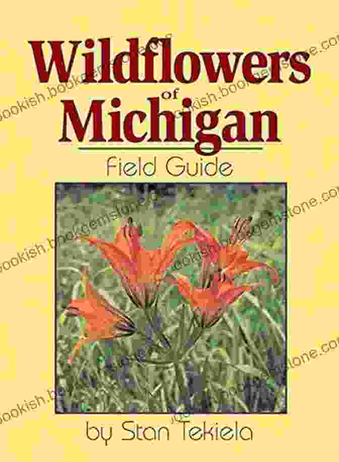 Canada Lily Wildflowers Of Michigan Field Guide (Wildflower Identification Guides)