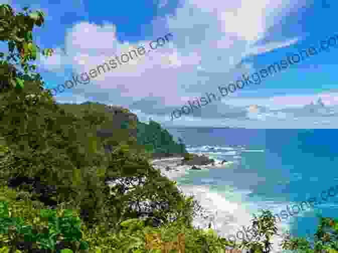 Corcovado National Park Costa Rica Travel Guide With 100 Landscape Photos
