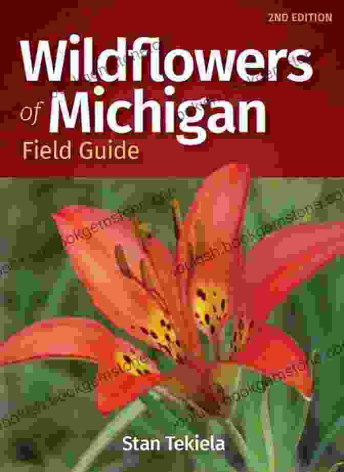Goldthread Wildflowers Of Michigan Field Guide (Wildflower Identification Guides)