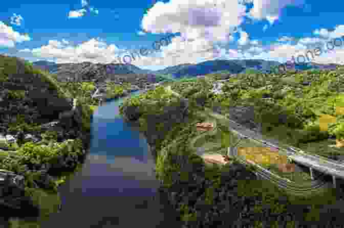 Lush, Verdant Mountains Of Naranjito, Puerto Rico In Search Of The Luminous Heart: From The Mountains Of Naranjito Puerto Rico To The Mountains Of Crestone Colorado