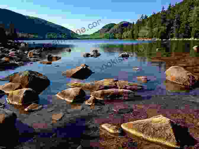 Panoramic View Of Maine National Park's Majestic Mountain Peaks, Enveloped In A Vibrant Tapestry Of Autumn Foliage. Death In Acadia: And Other Misadventures In Maine S National Park (Dear Earthling)