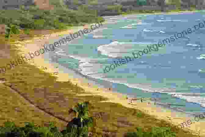 Playa Nosara Costa Rica Travel Guide With 100 Landscape Photos