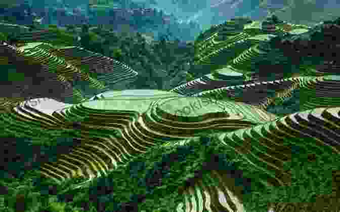 Stunning Rice Terraces Cascading Down A Mountainside In China. Around The World With Matt And Lizzy China: Club1040 Com Kids Mission (Club1040com Kids Mission)