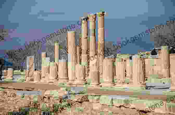 View Of The Temple Of Artemis From The Ruins Of Ephesus The Secrets Of Ephesus (TAN Travel Guide)