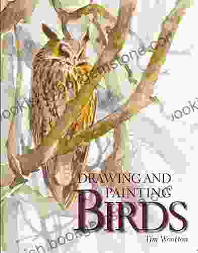 Drawing And Painting Birds Tim Wootton