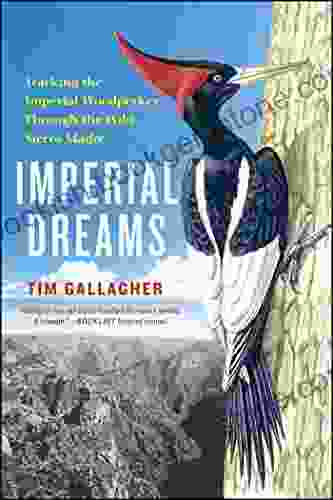 Imperial Dreams: Tracking The Imperial Woodpecker Through The Wild Sierra Madre