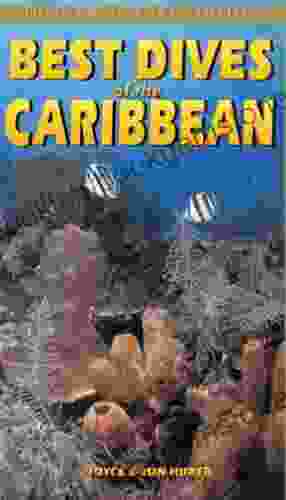 Best Dives Of The Caribbean